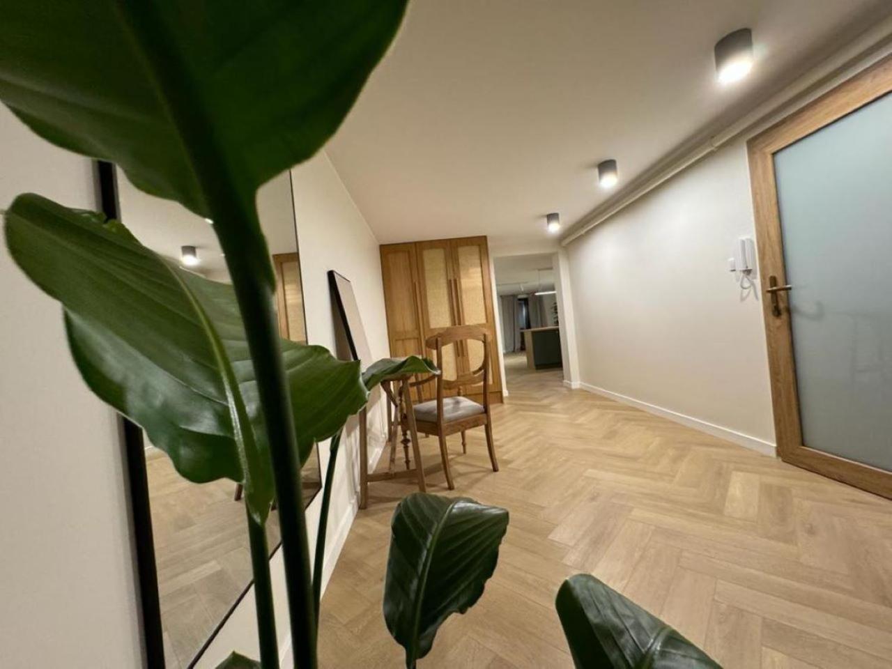 Ovoc 1.0 Apartment *